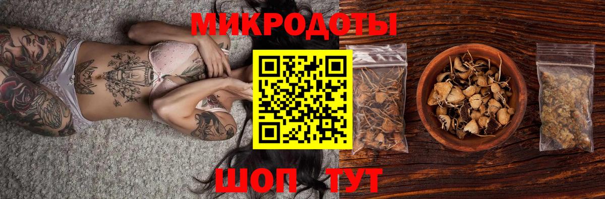 Кисловодск  Галлюциногенные грибы мицелий  Псилоцибиновые грибы Psilocybe  Вход с VPN 