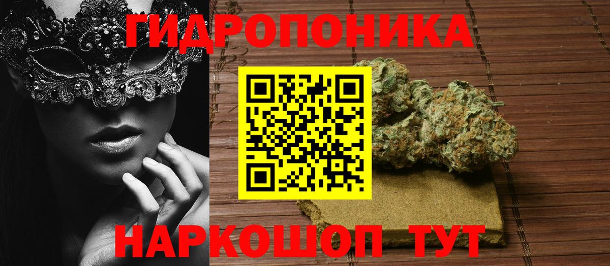 Конопля сатива Кисловодск